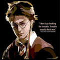 Harry Potter (Daniel Radcliffe) Pop Art (10X10)