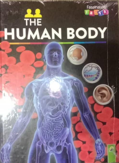 Fascinating Facts: The Human Body