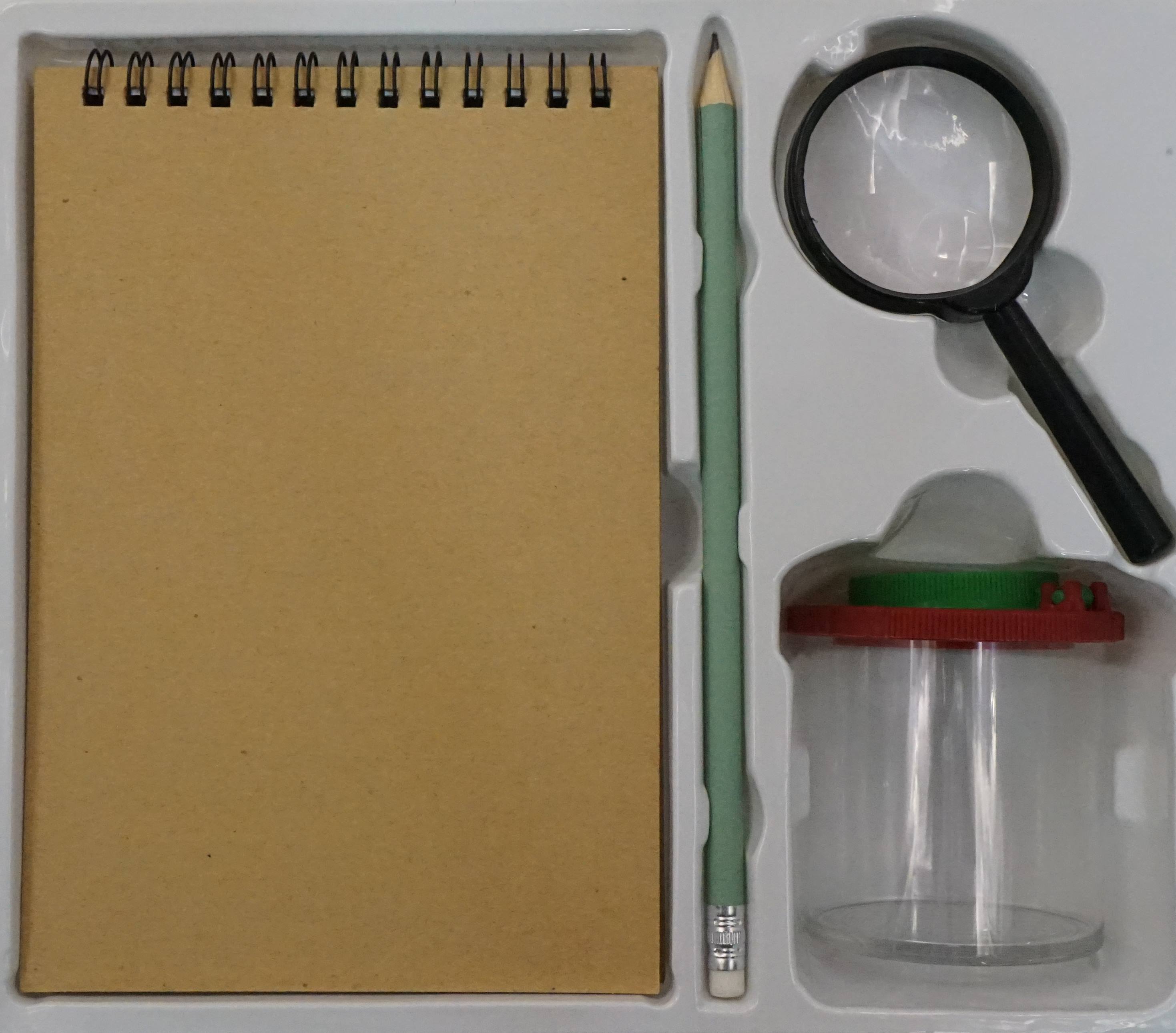 A Ladybird Books Wildlife Kit: Mini Bug Hunter