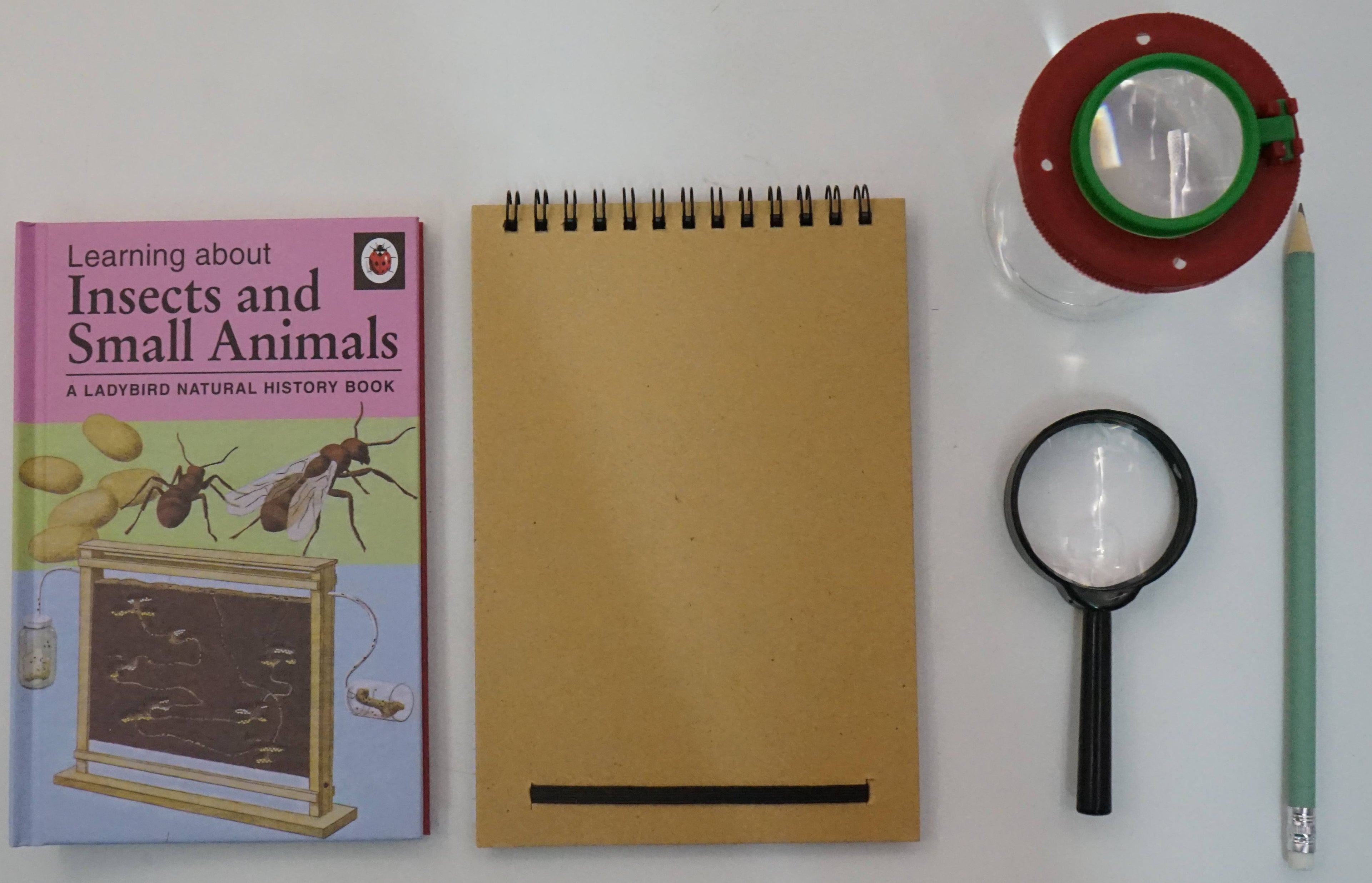 A Ladybird Books Wildlife Kit: Mini Bug Hunter