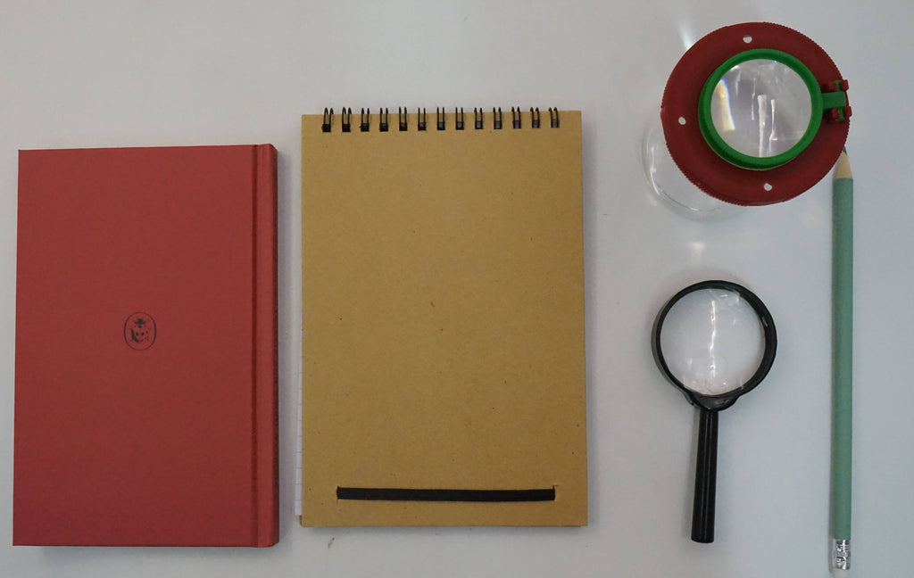 A Ladybird Books Wildlife Kit: Mini Bug Hunter