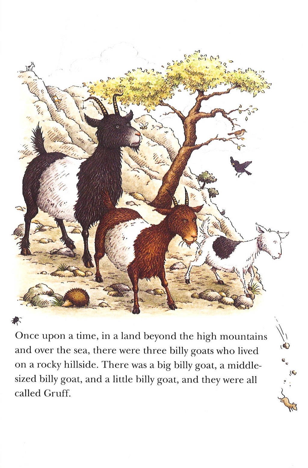 The Three Billy Goats Gruff (Hb)