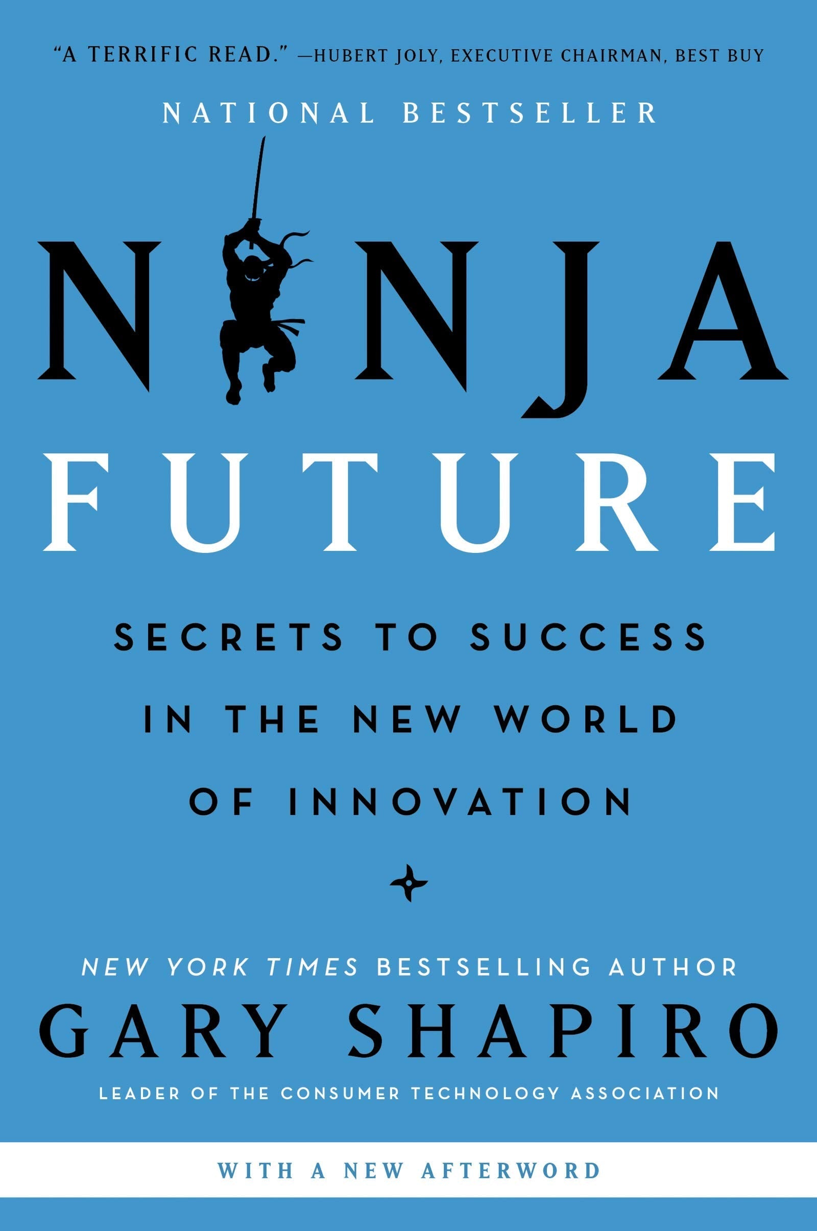 Ninja Future: Secrets To Success In The New World Of Innovation
