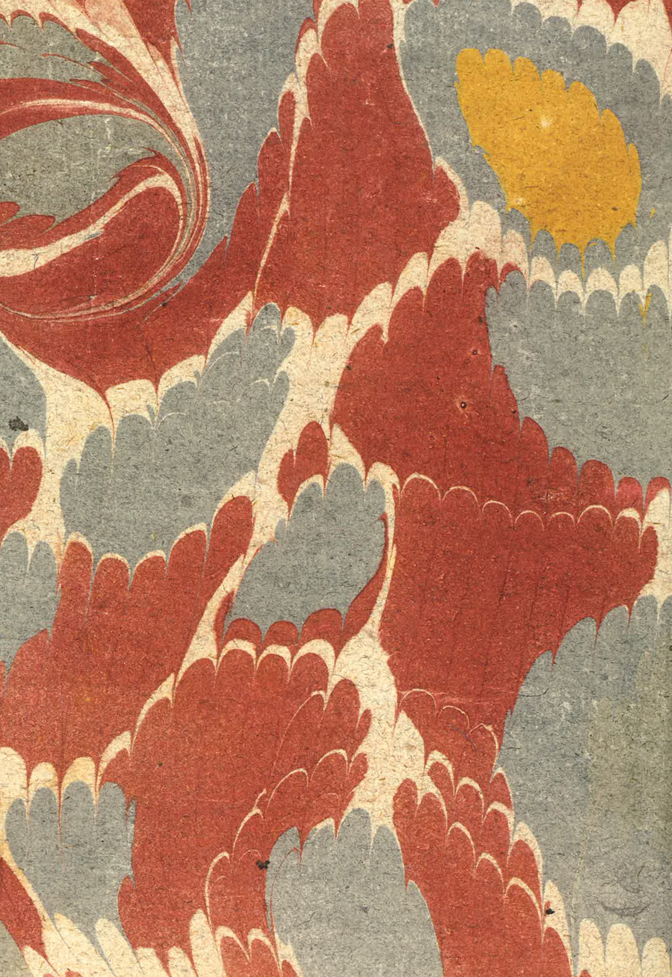 Wrapping Paper - Decorated Papers