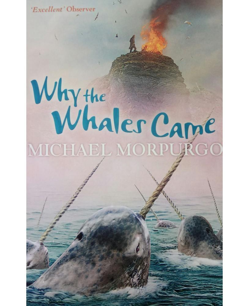 Why The Whales Came