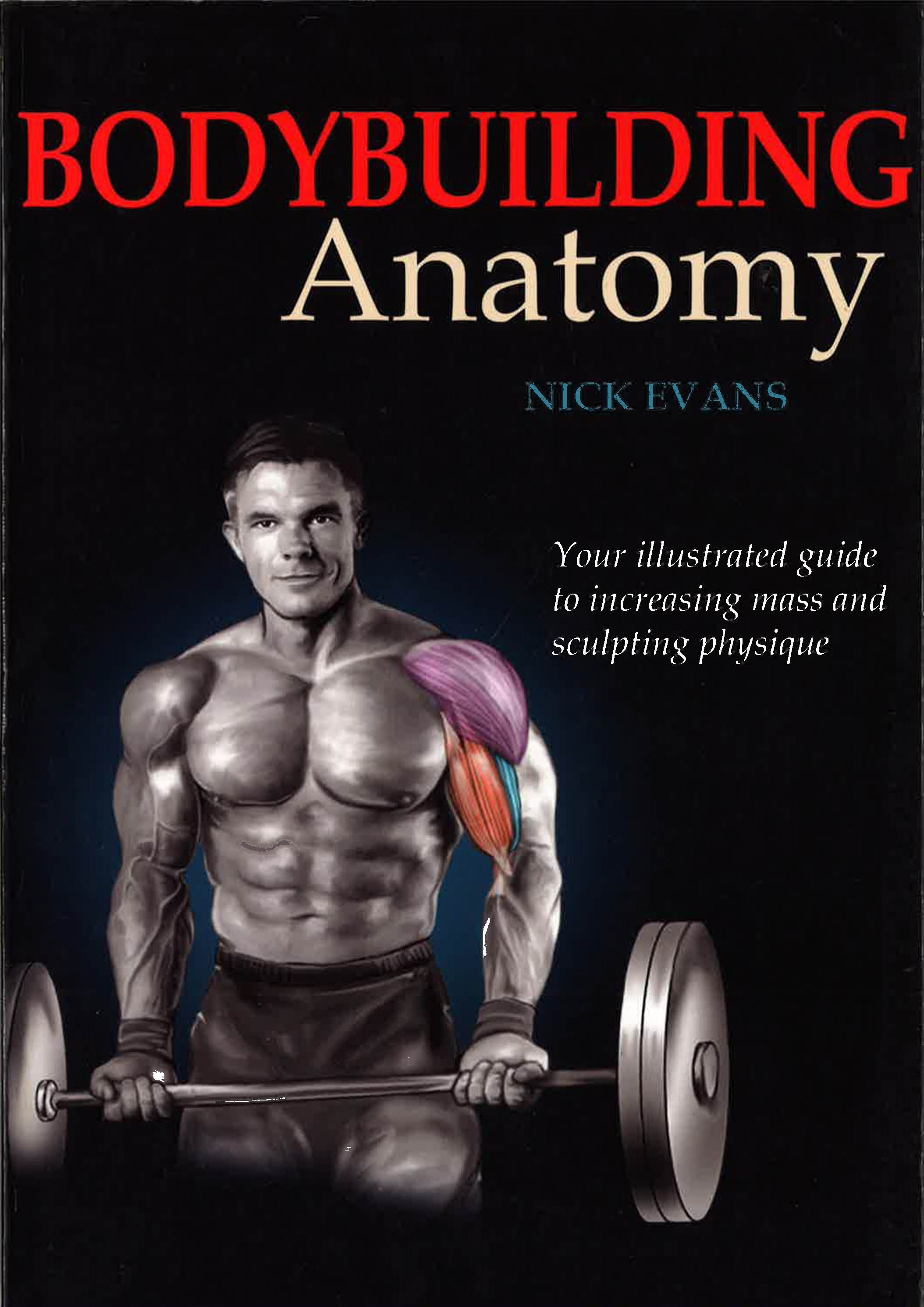 Bodybuilding Anatomy – Big Bad Wolf Books Sdn. Bhd. (871725-H)