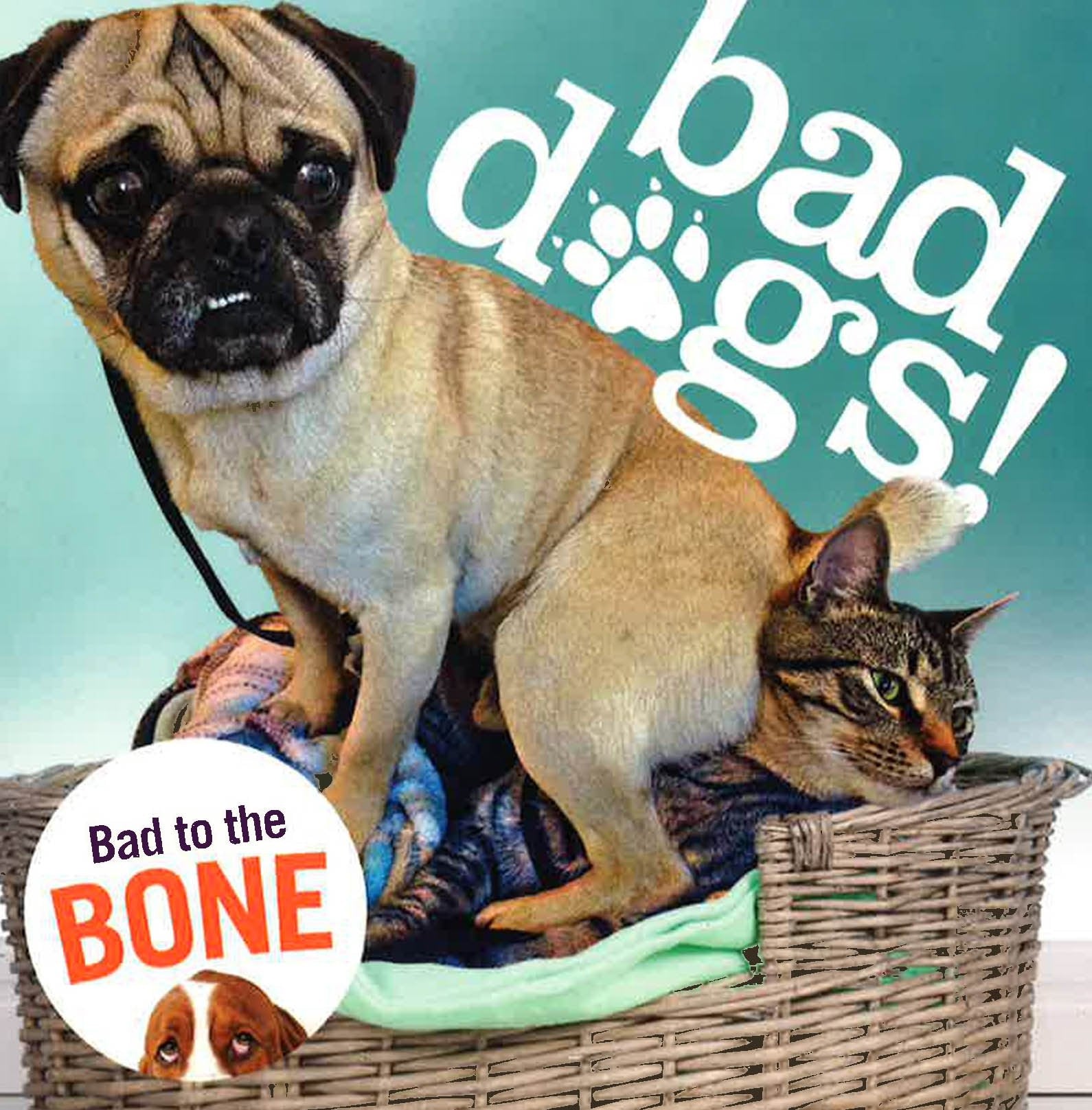 Bad Dogs