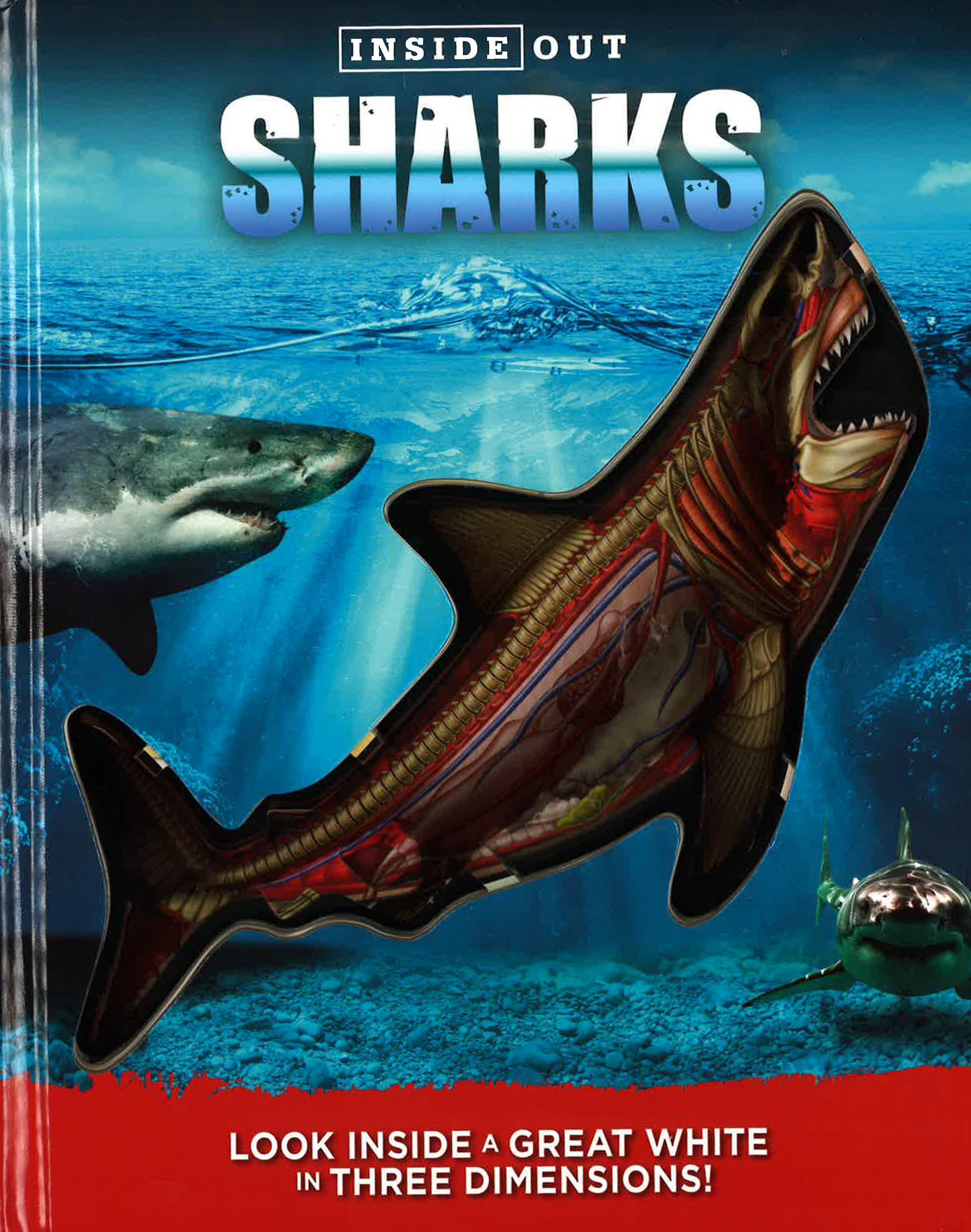 Inside Out Sharks