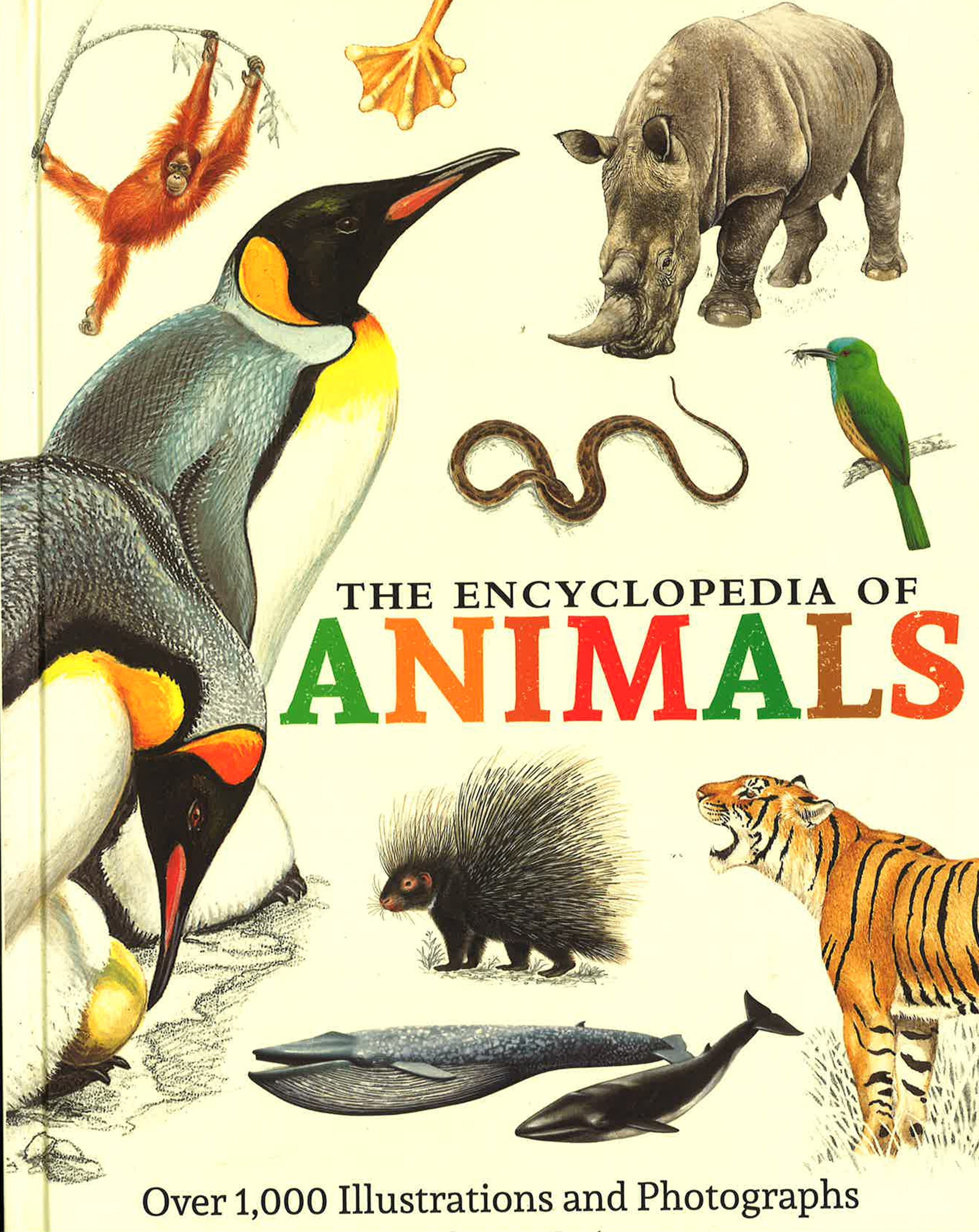 The Encyclopedia Of Animals