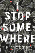 I Stop Somewhere