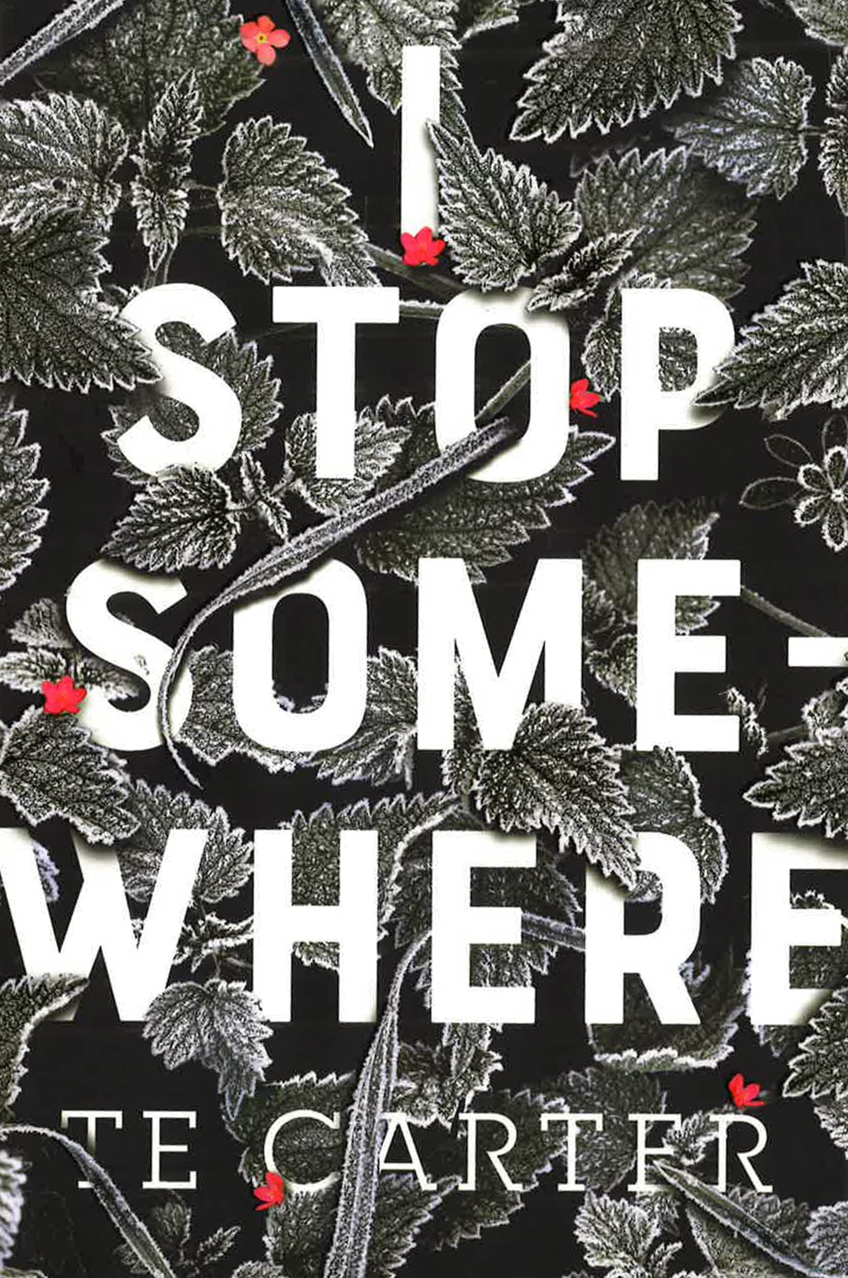 I Stop Somewhere