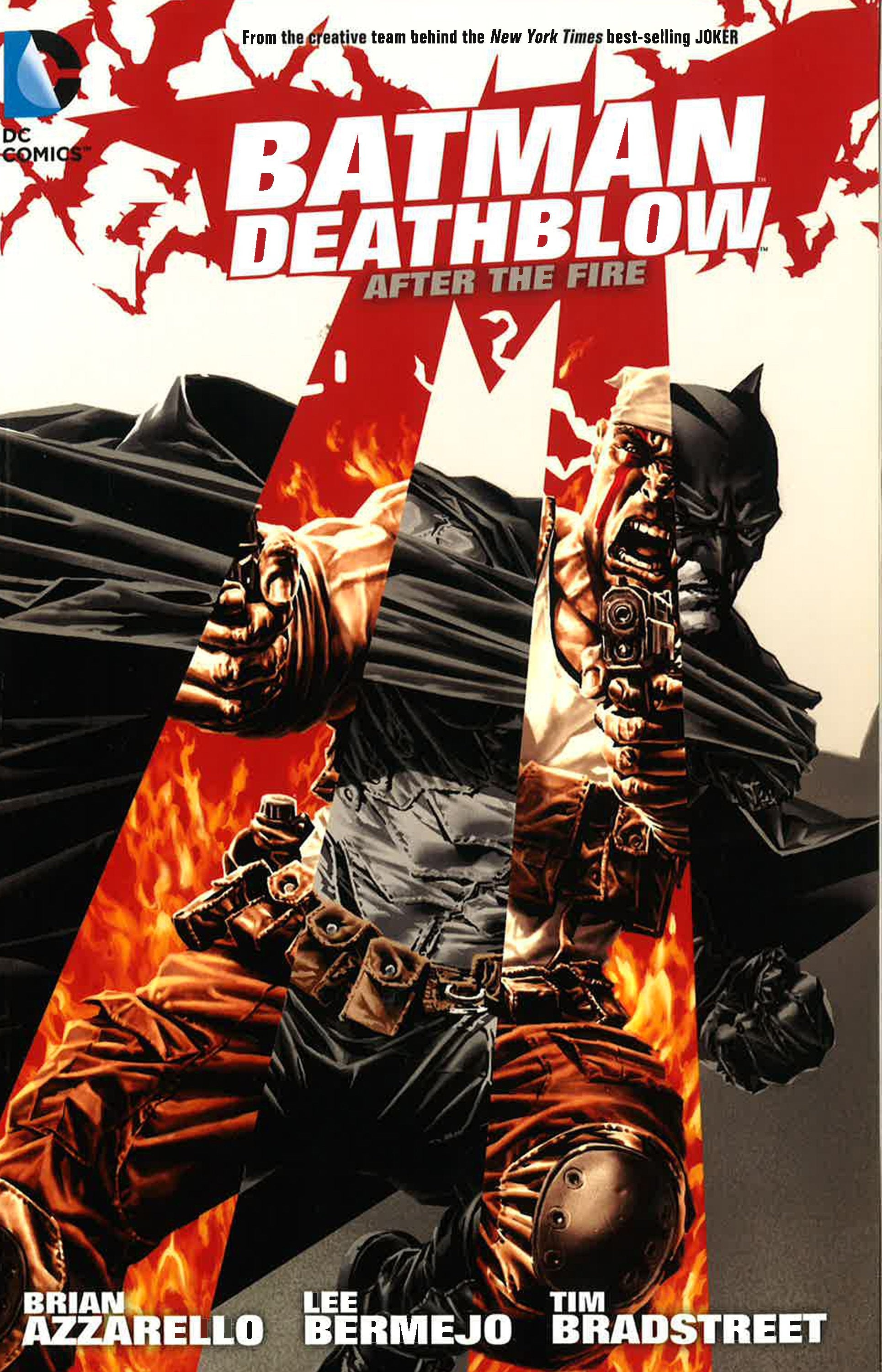 Batman Deathblow After The Fire