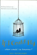 If I Could Fly