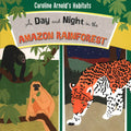 Day And Night In The Amazon Rainforest