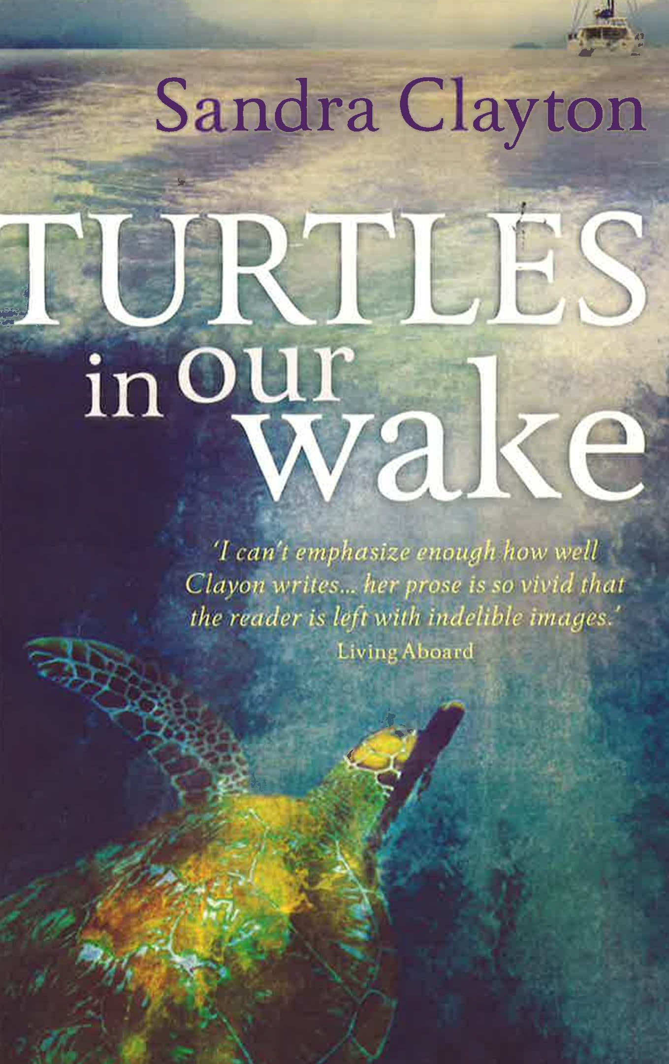 Turtles In Our Wake