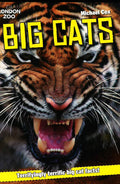 London Zoo: Big Cats