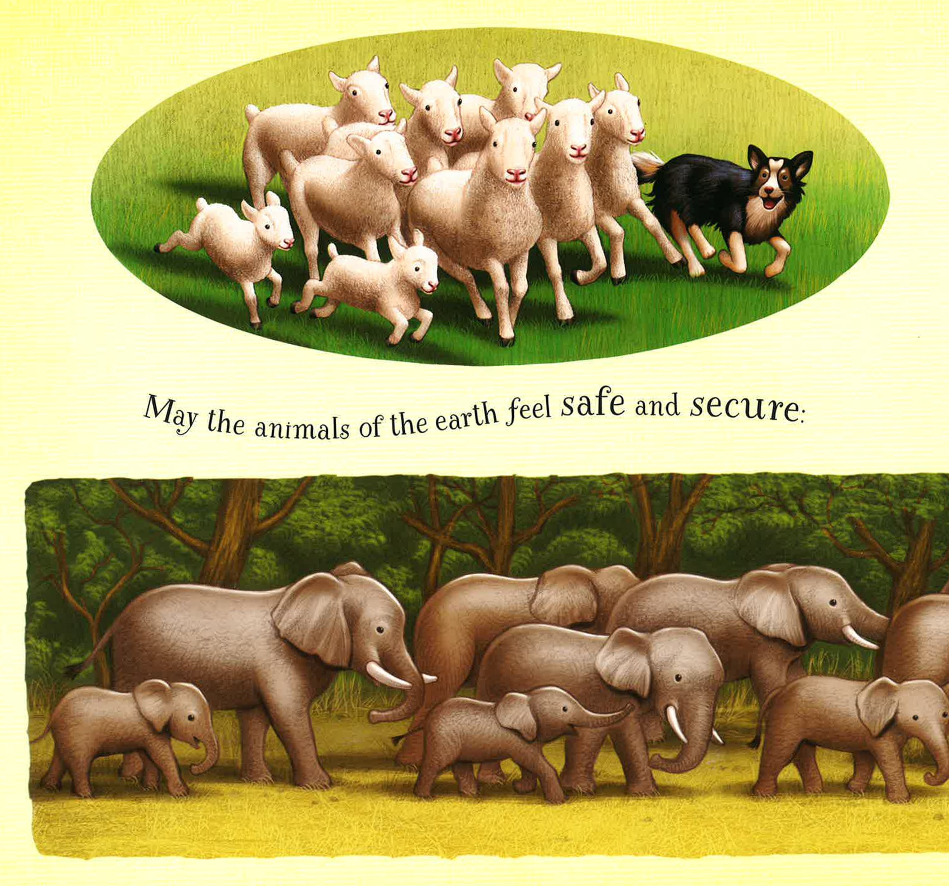 A Prayer For The Animals