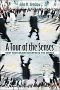 Tour Of The Senses: How Your Brain Interprets The World