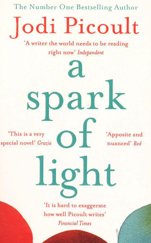 A Spark Of Light: The Number One Sunday Times Bestseller