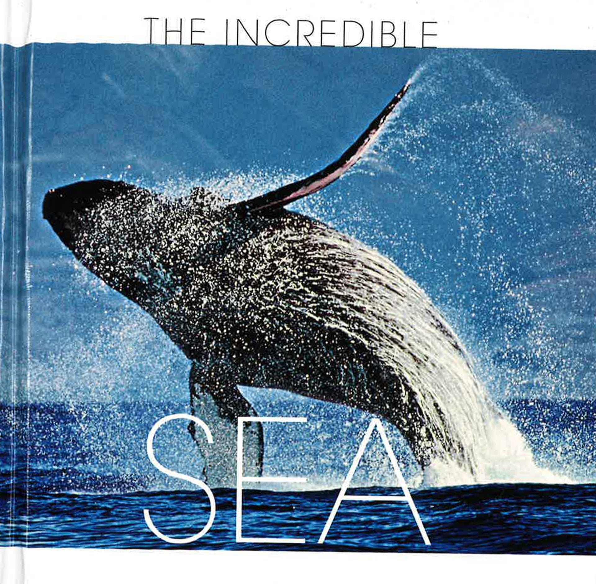 The Sea