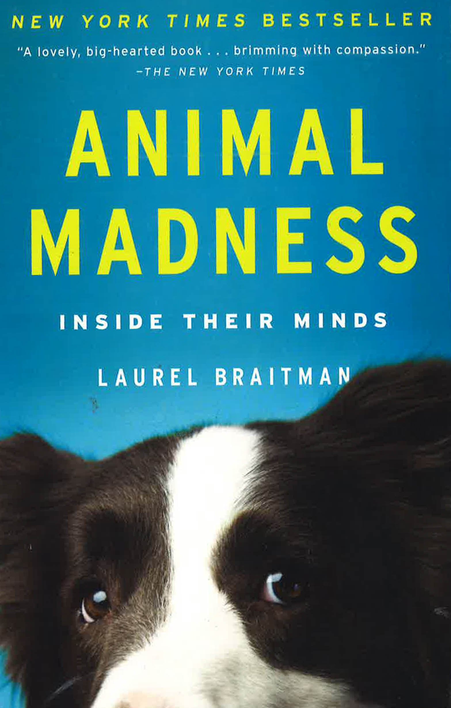 Animal Madness: Inside Their Minds