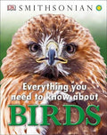 Everything You Need To Know About Birds