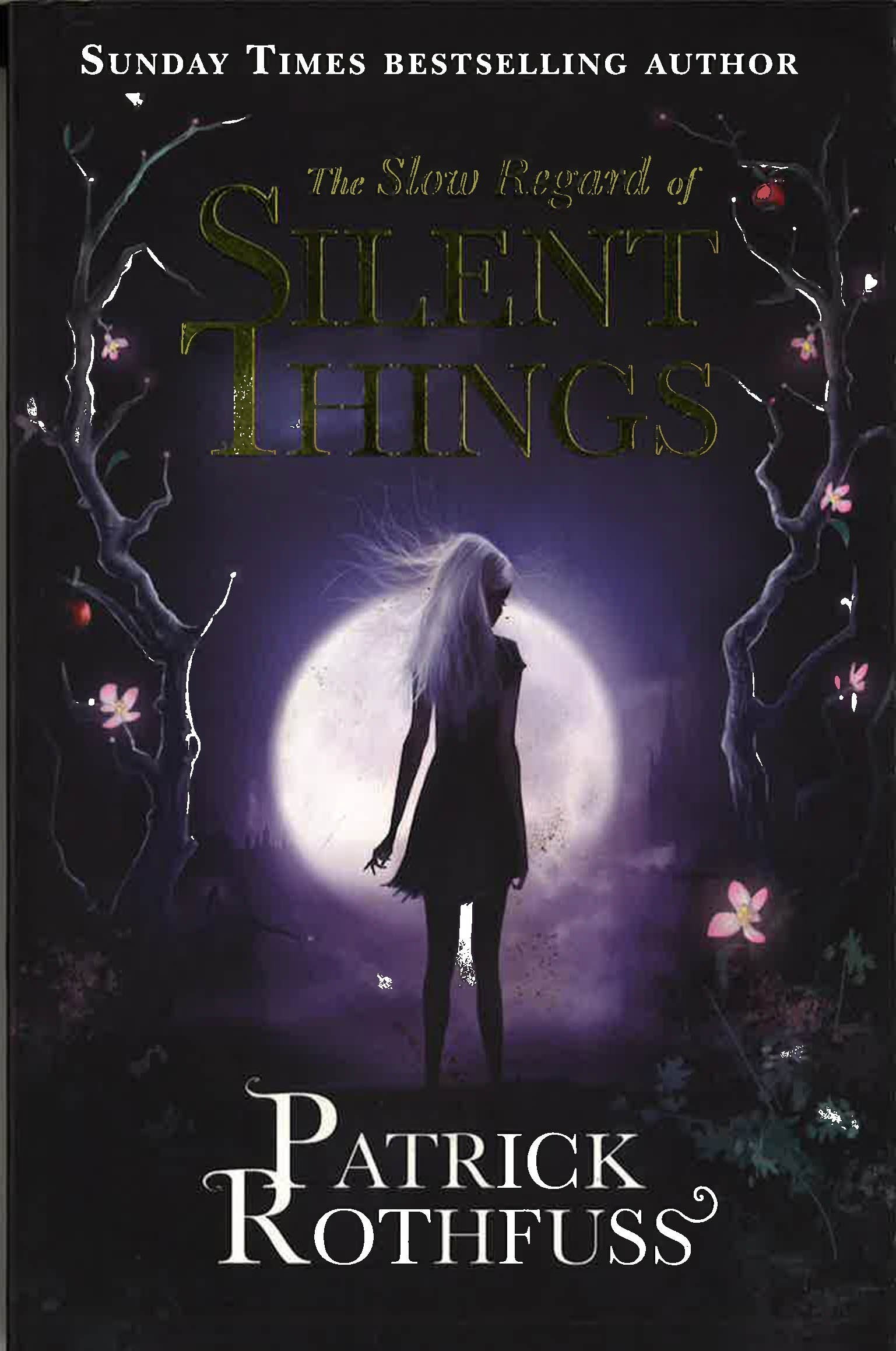 Kingkiller Chronicles: Slow Regard Of Silent Things