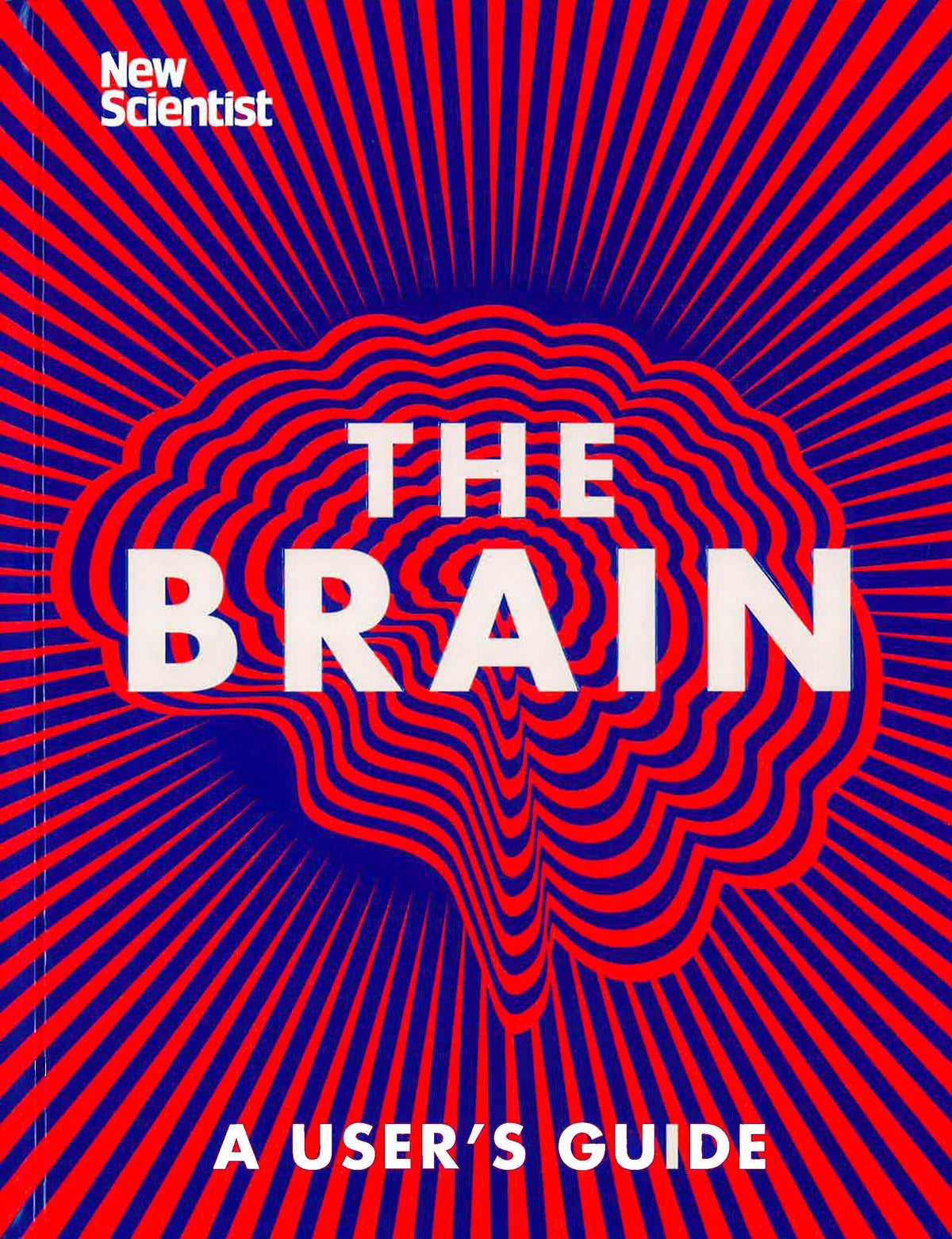 The Brain: Everything You Need To Know