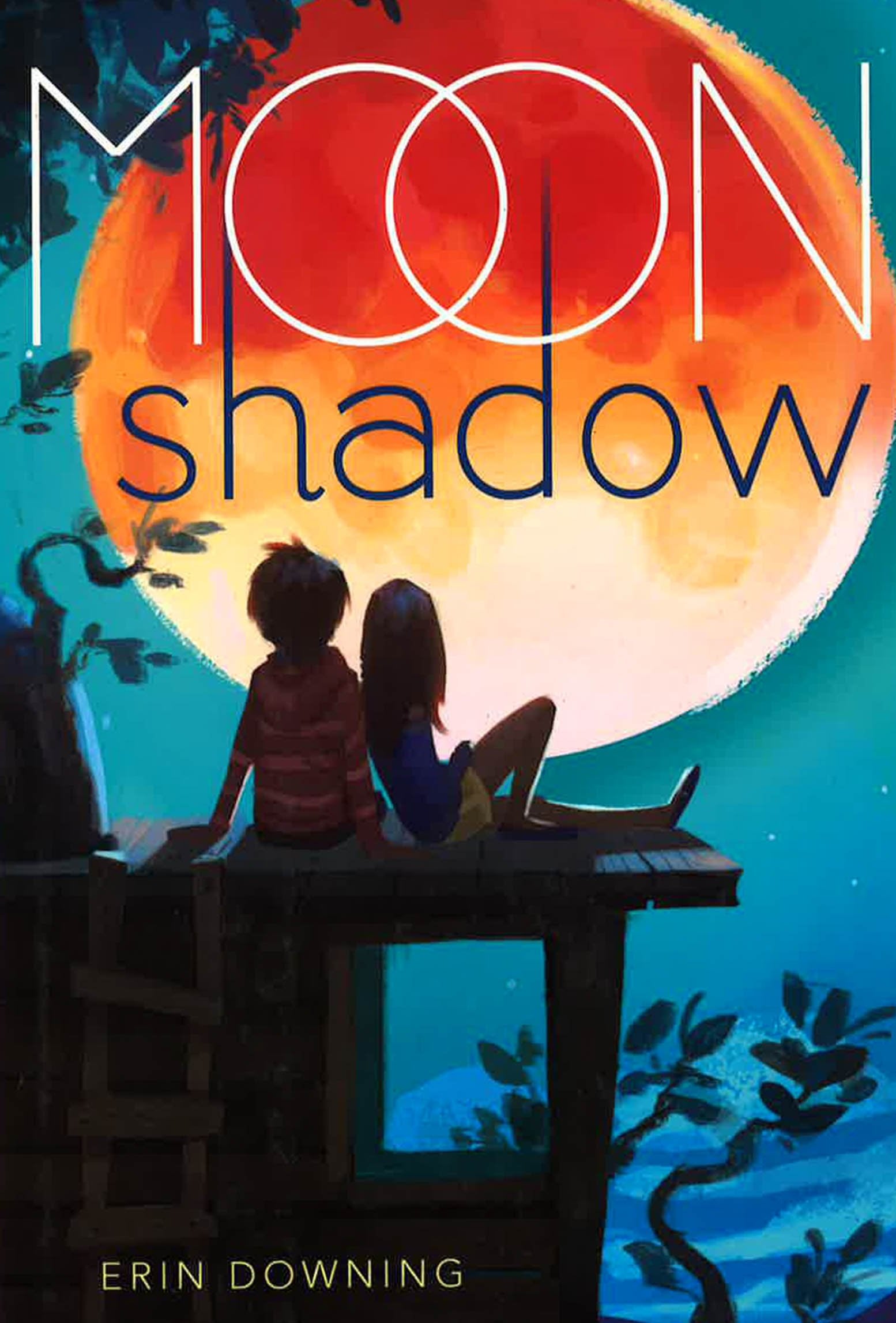 Moon Shadow