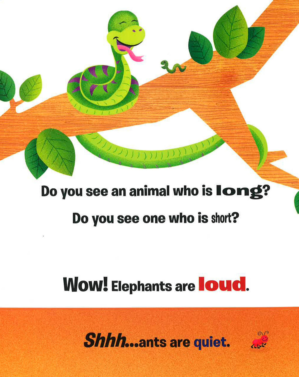 A Day At The Zoo