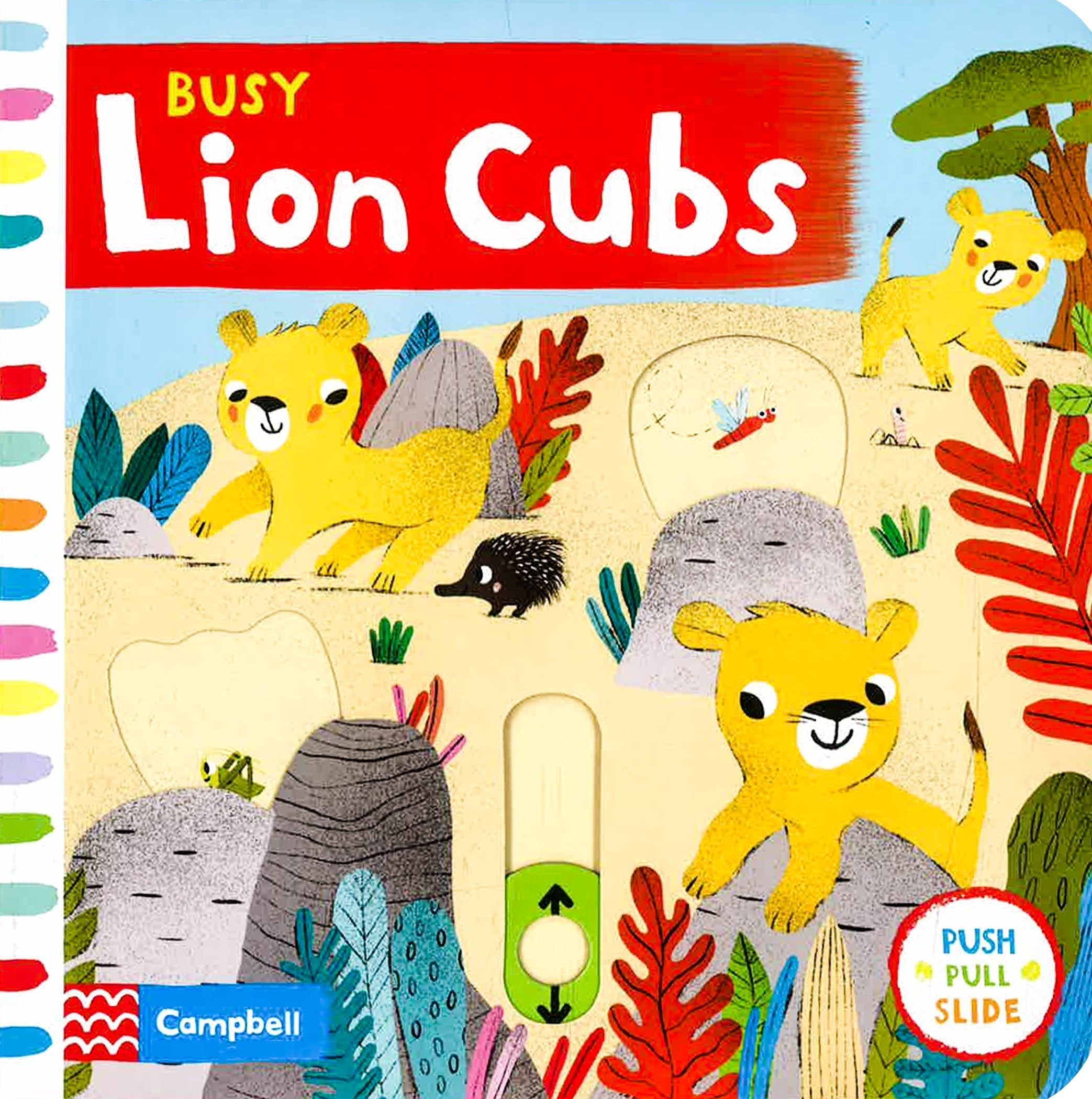 Busy Lion Cubs