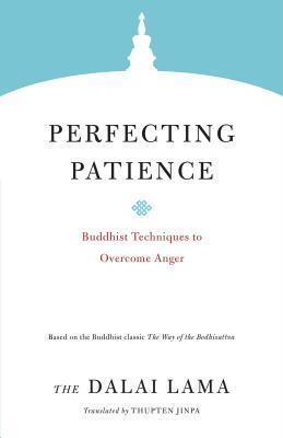 Perfecting Patience : Buddhist Techniques To Overcome Anger
