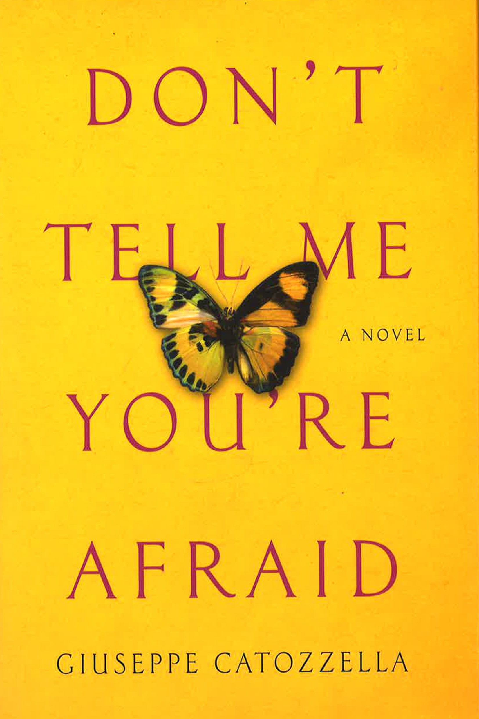 Re Afraid: A