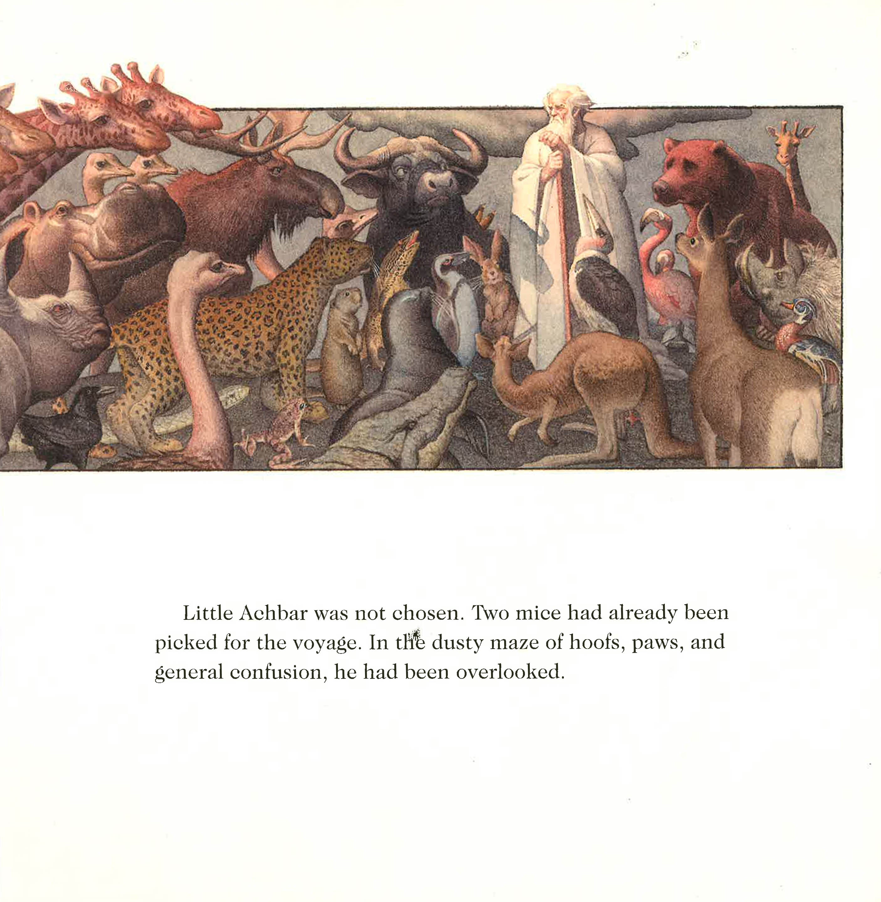 A Stowaway On Noah's Ark Oversized Padded Board Book