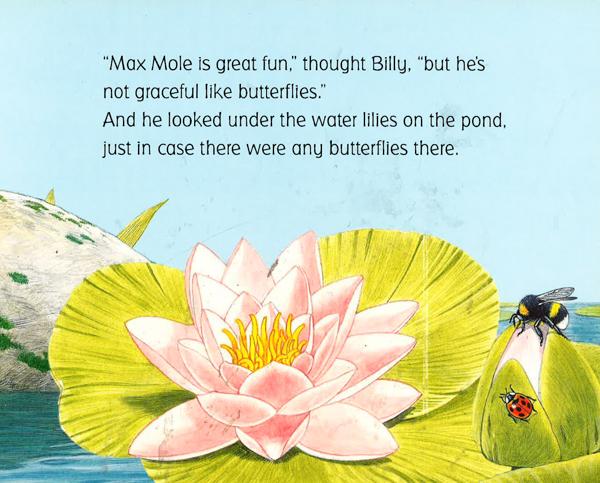 Billy Bunny And The Butterflies