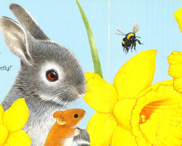Billy Bunny And The Butterflies