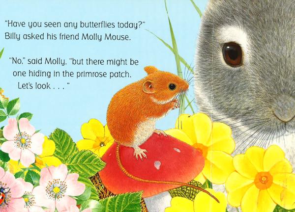Billy Bunny And The Butterflies