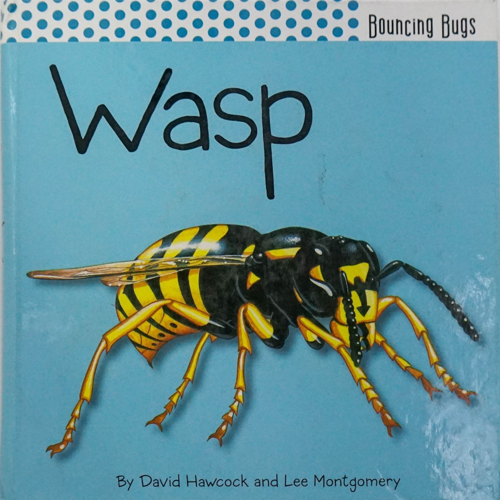 Wasp