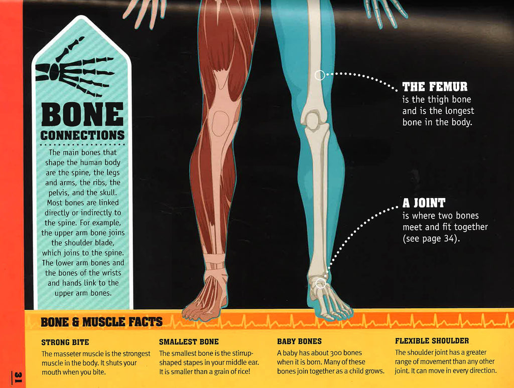 50 Things You Should Know About The Human Body – Big Bad Wolf Books Sdn ...