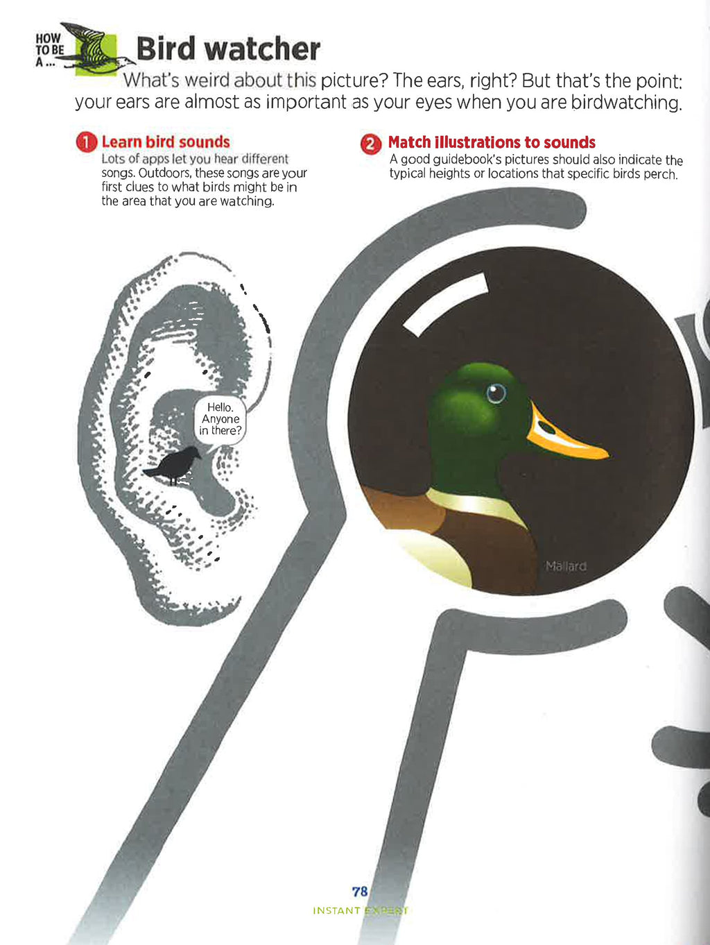 Instant Expert: A Visual Guide To The Skills You'Ve Always Wanted (Hb)