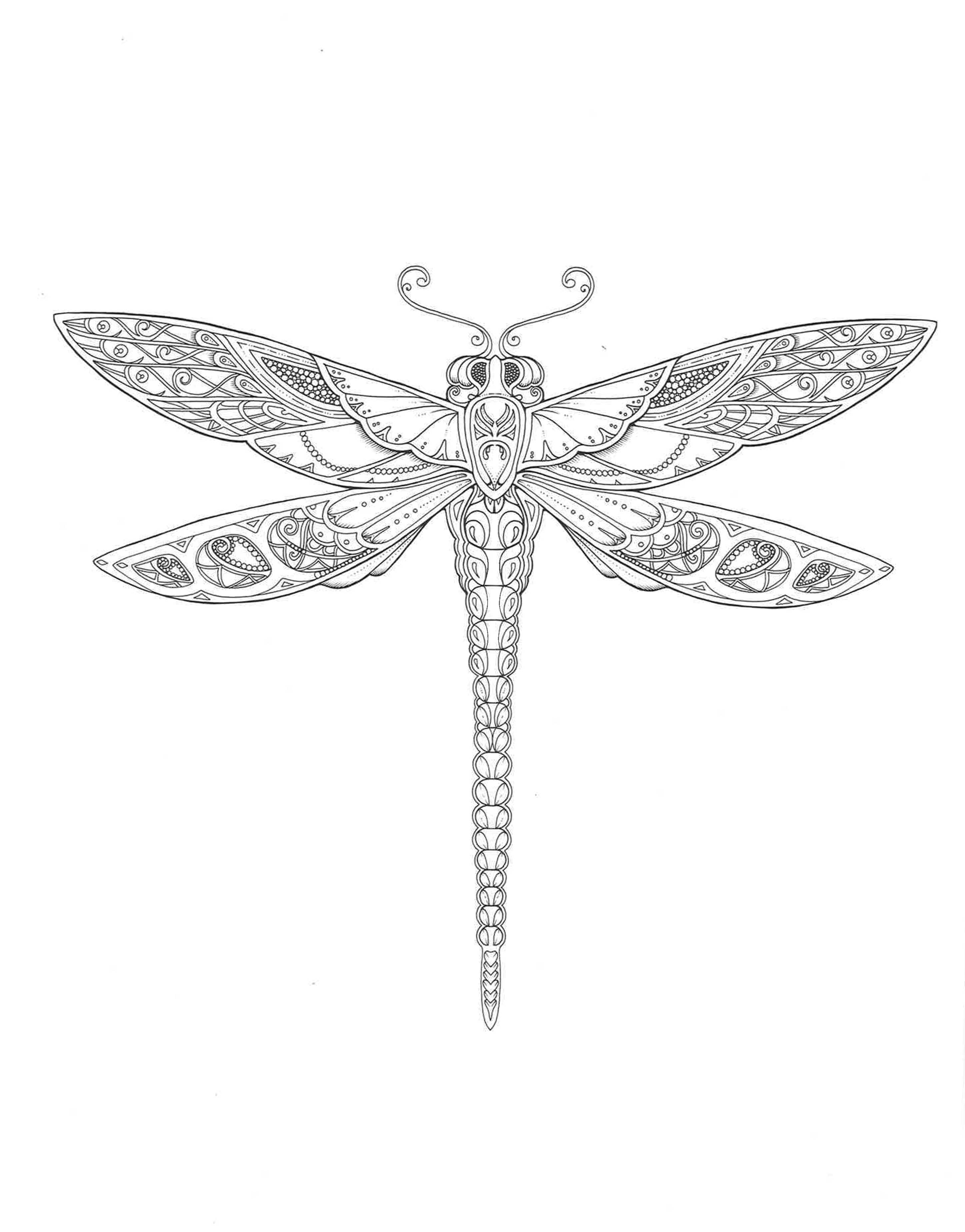 Enchanted Forest Artist's Edition