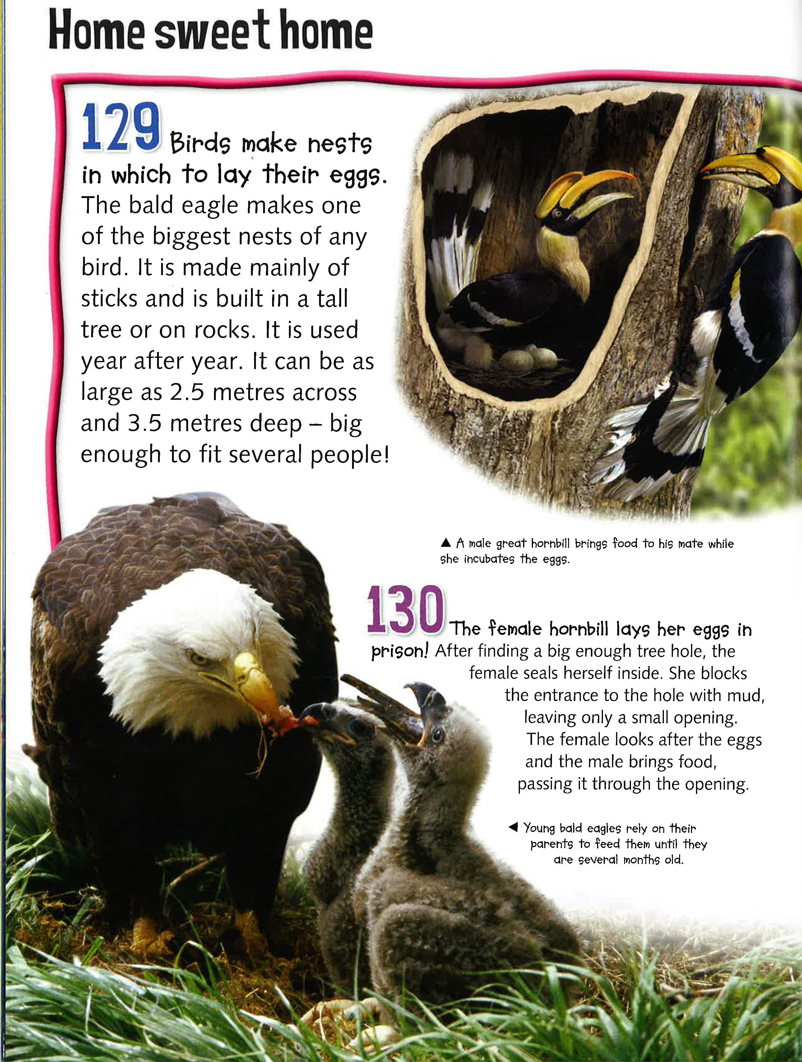 300 Fantastic Facts: Animals