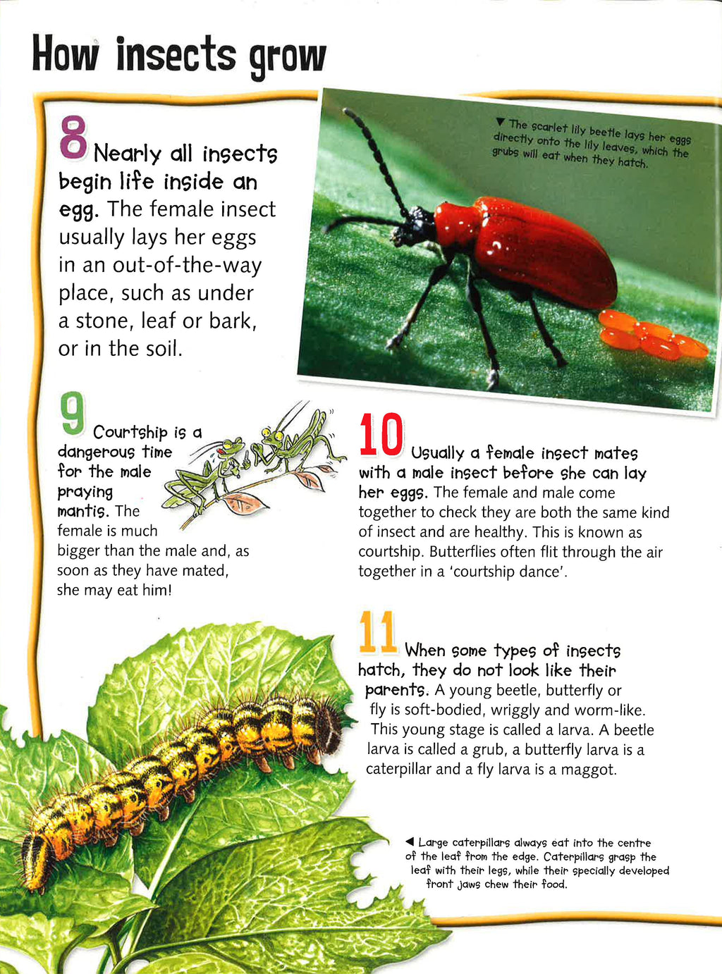 300 Fantastic Facts: Bugs