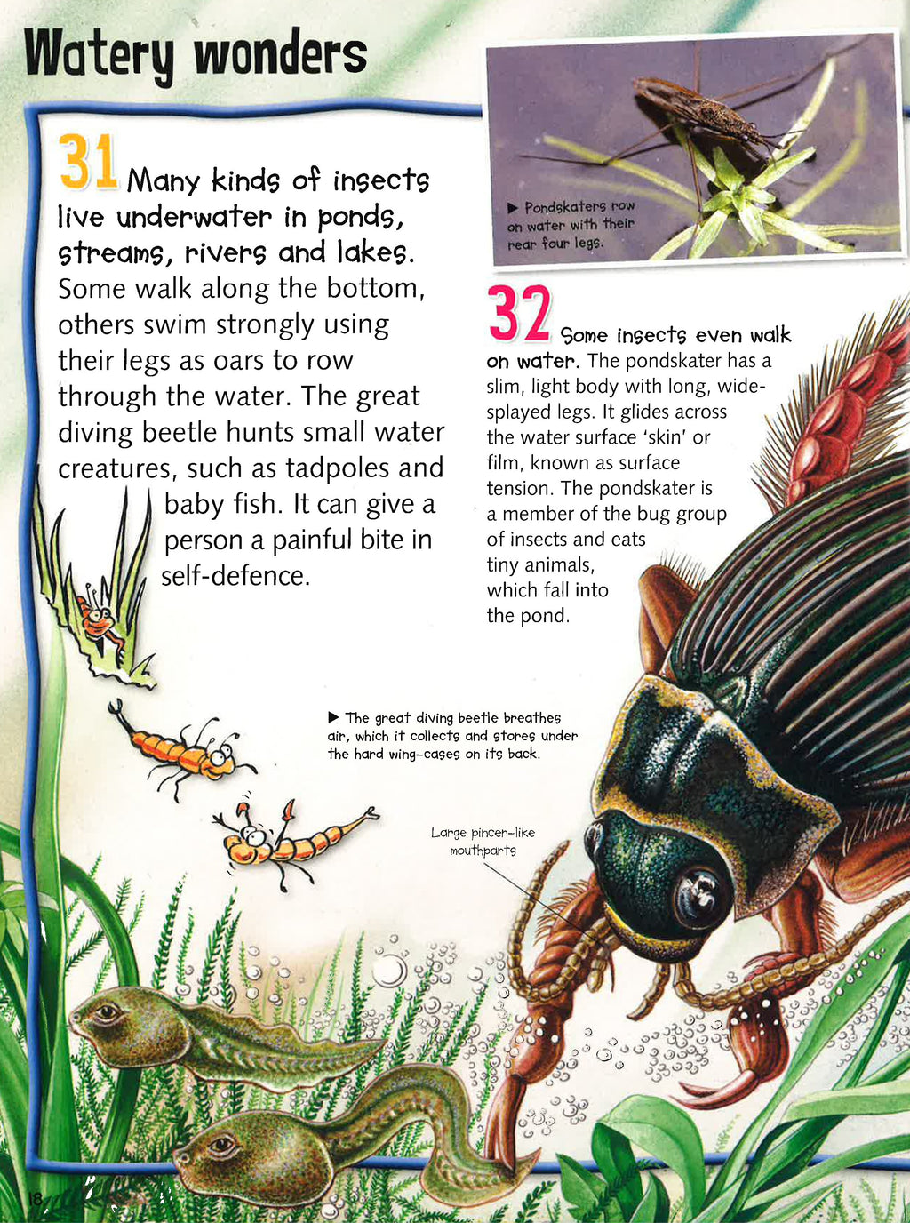 300 Fantastic Facts: Bugs