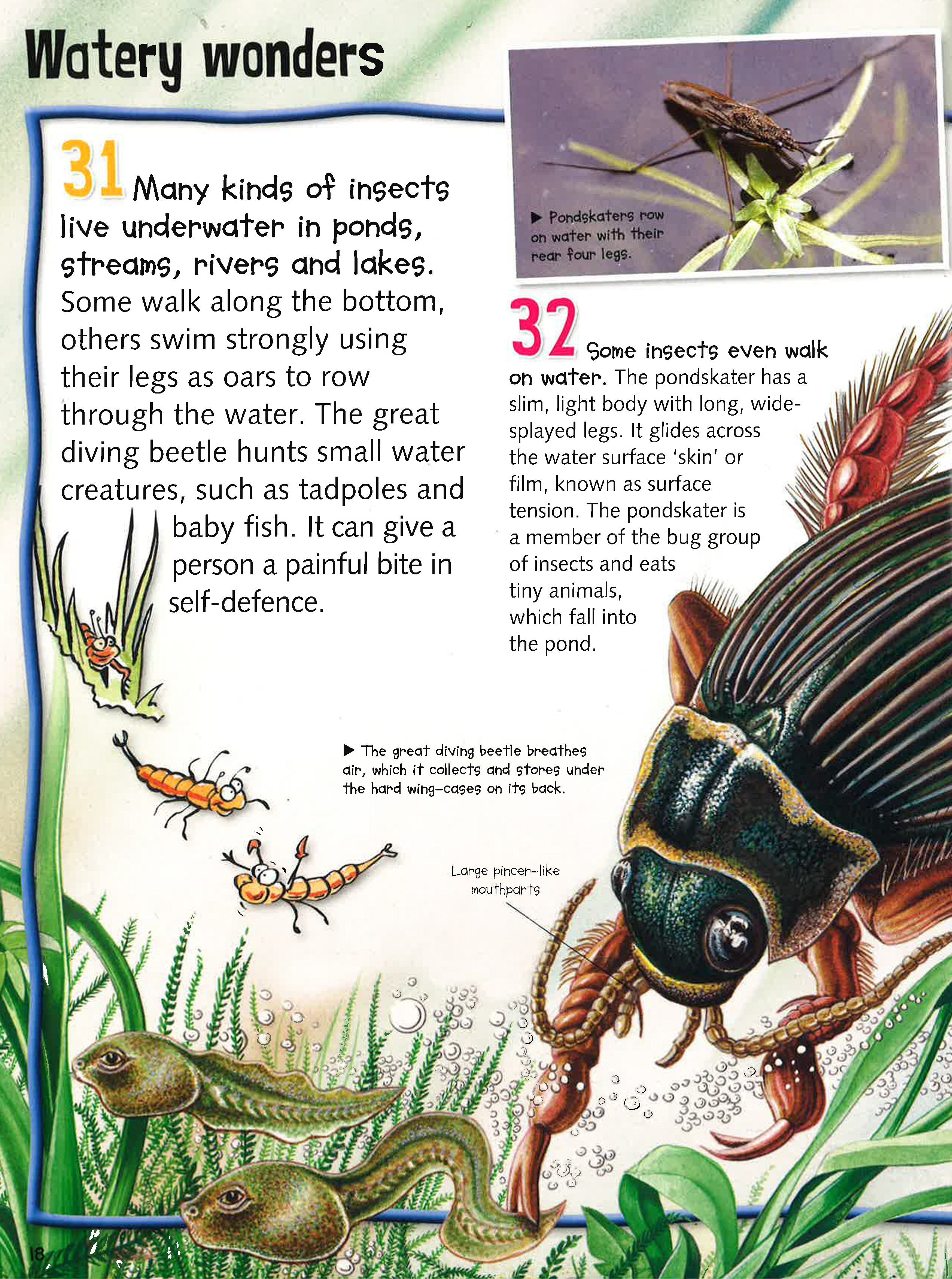 300 Fantastic Facts: Bugs