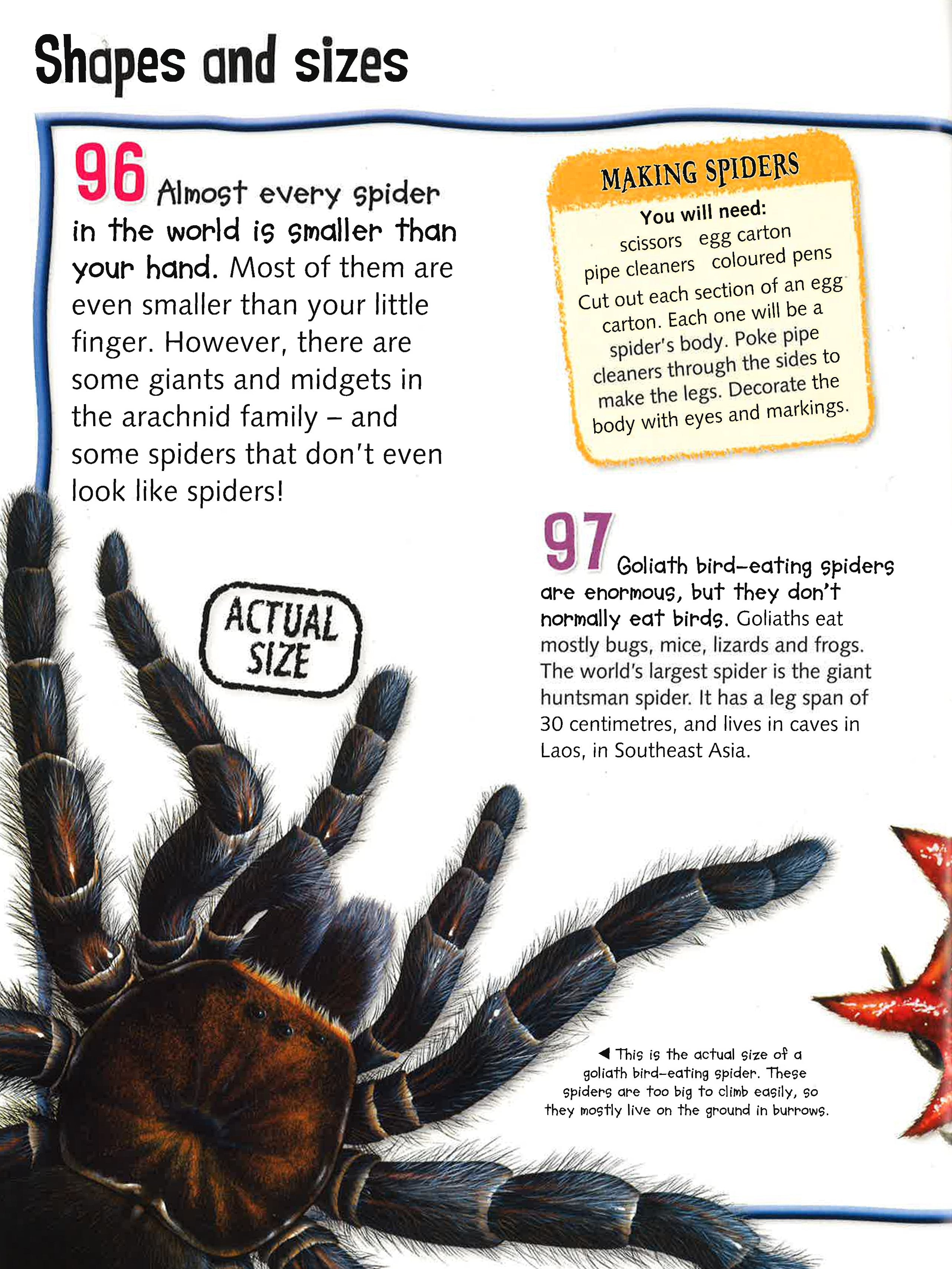 300 Fantastic Facts: Bugs