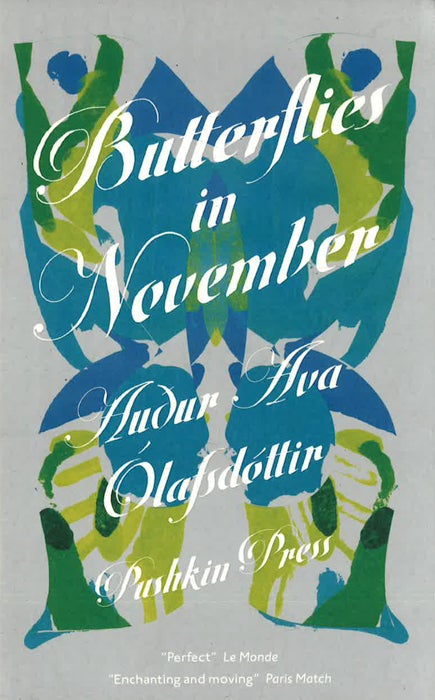 Butterflies in November