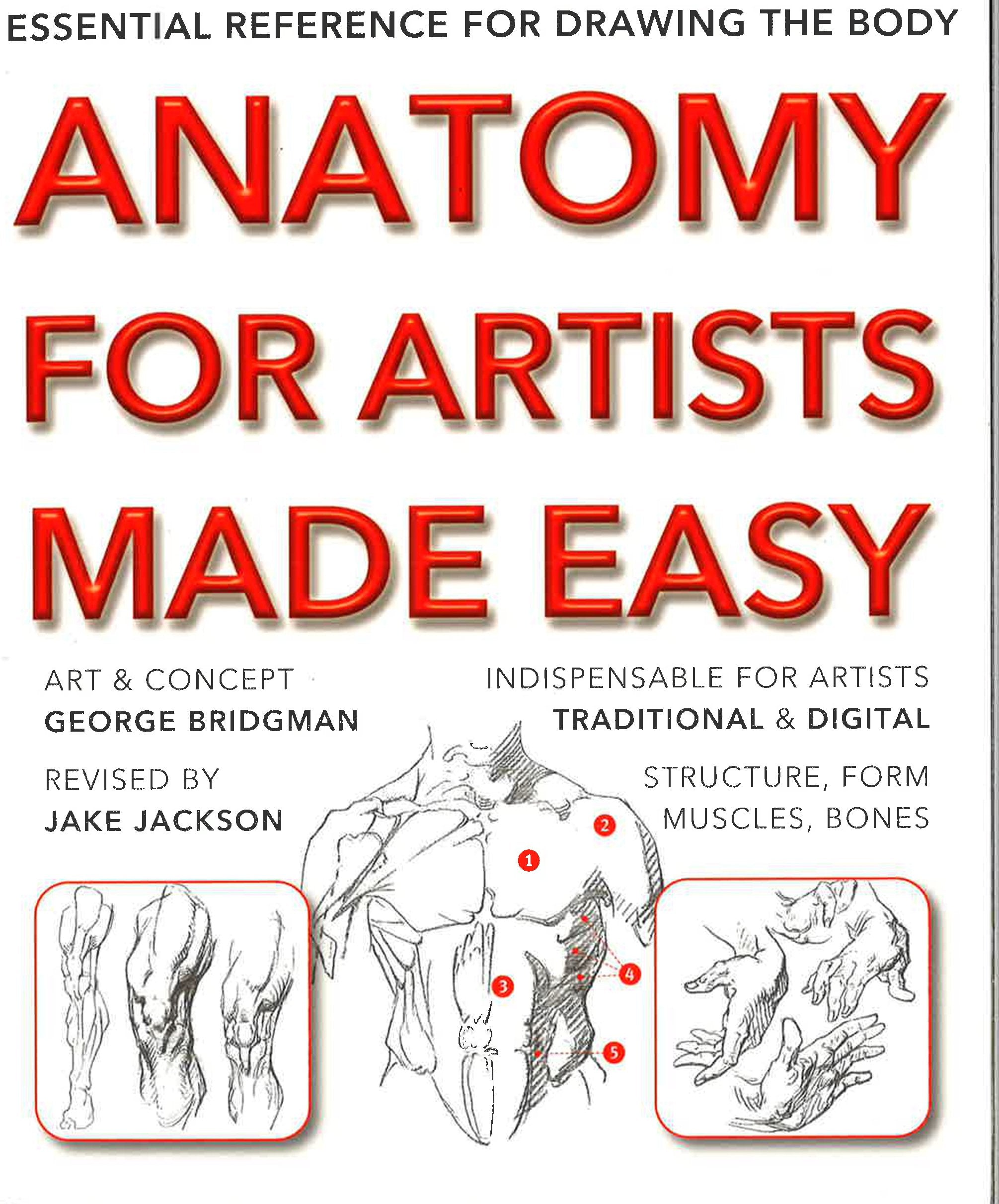 *Anatomy For Artists Made Easy