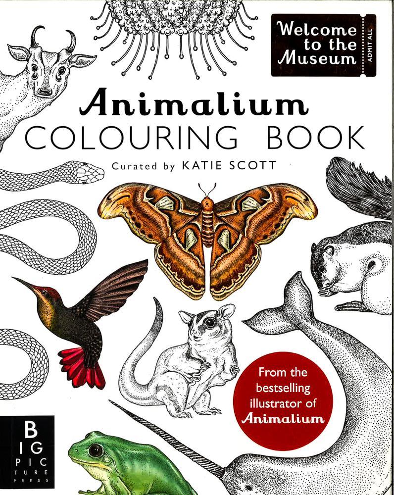Animalium Colouring Book
