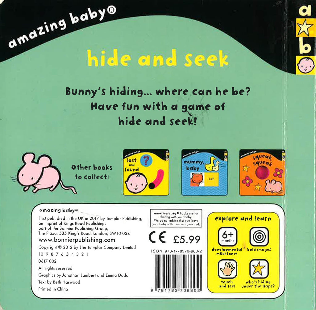 Amazing Baby: Hide And Seek